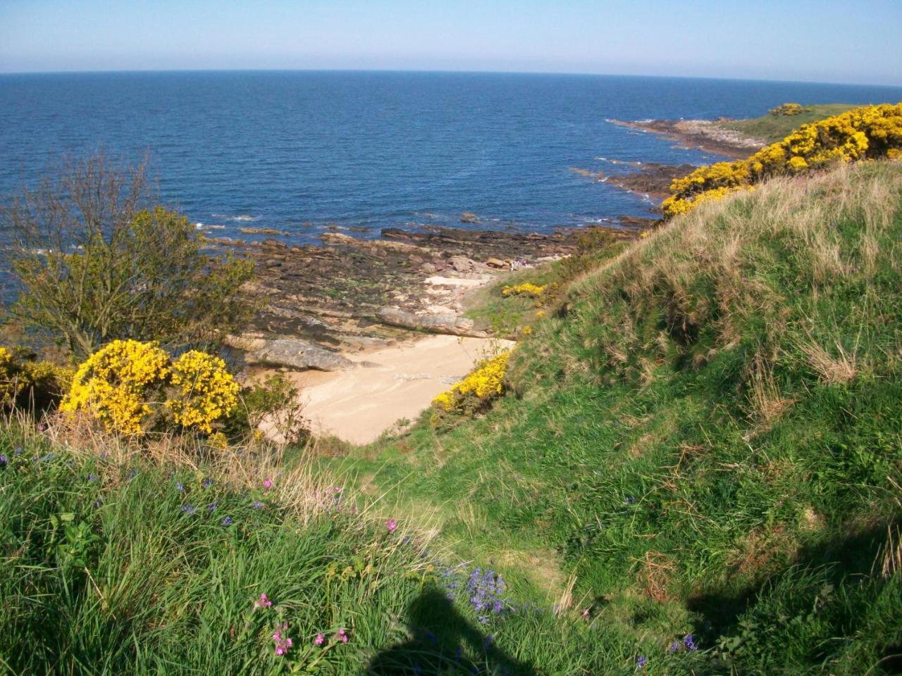 Carnegie Holiday Cottage Dunfermline Bagian luar foto